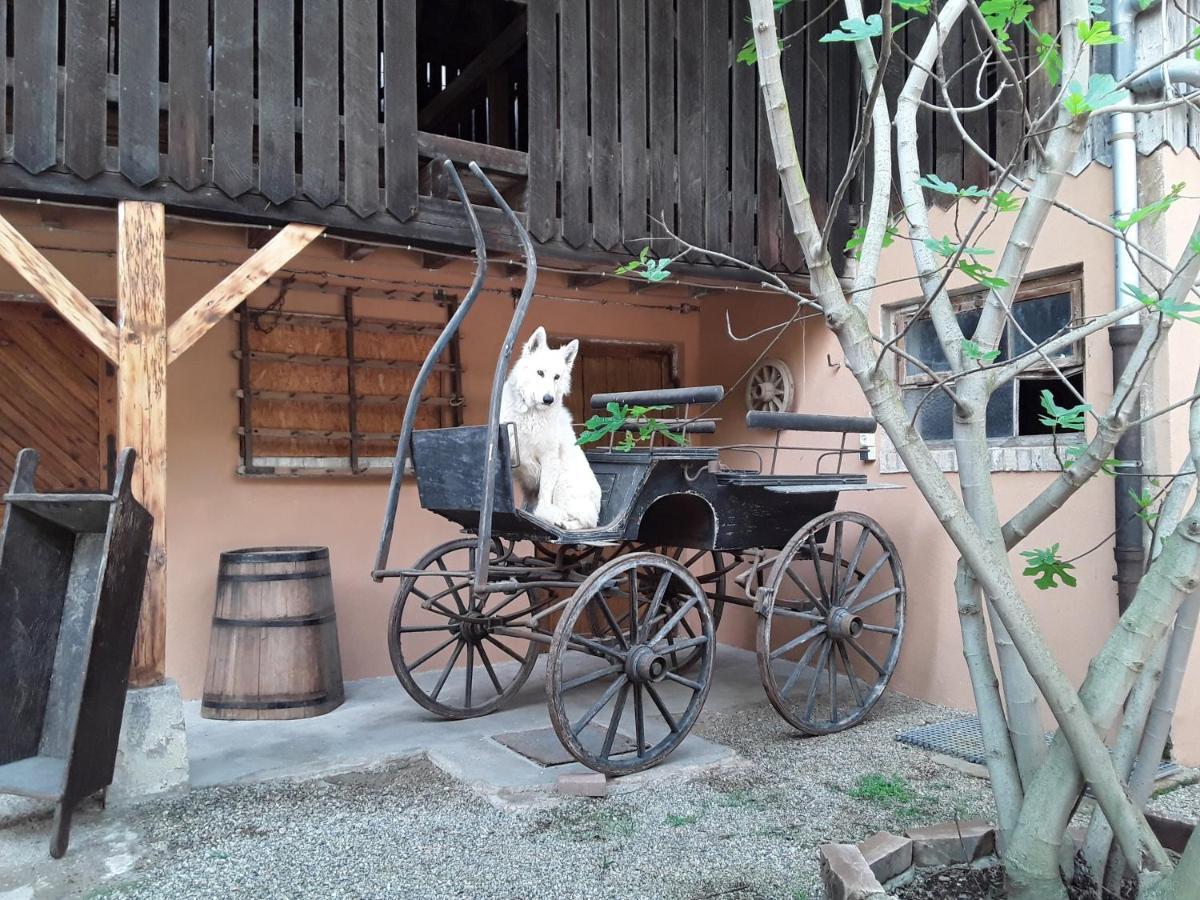 Gites Les Cocottes Zellwiller Zewnętrze zdjęcie